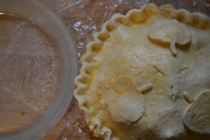 Frozen pie and pie plate 2