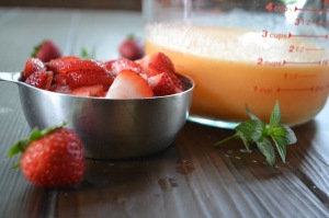 Sliced Strawberries and Cantaloupe Puree